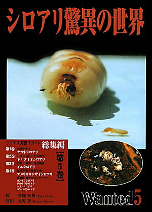 シロアリ驚異の世界（第5巻（総集編））