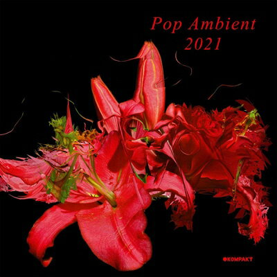 【輸入盤】Pop Ambient 2021