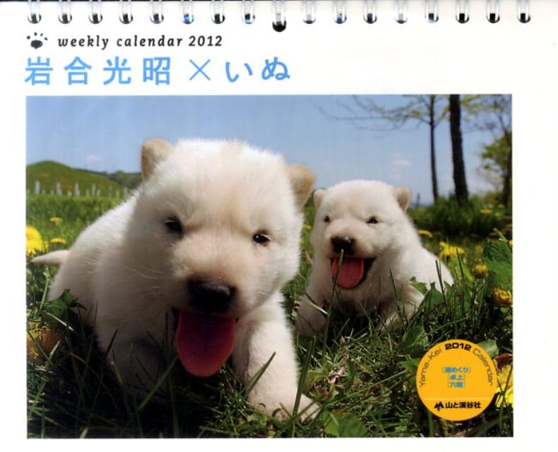 週めくり岩合光昭×いぬカレンダー（2012）