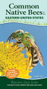 Common Native Bees of the Eastern United States: Your Way to Easily Identify Bees and Look-Alikes COMMON NATIVE BEES OF THE EAST （Adventure Quick Guides） Heather Holm