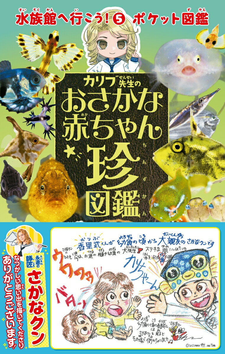 水族館へ行こう！ポケット図鑑　5 鈴木 香里武 エムピージェーカリブセンセイノオサカナアカチャンチンズカン スズキ カリブ 発行年月：2022年03月30日 予約締切日：2022年03月07日 ページ数：168p サイズ：図鑑 ISBN：9784909701596 鈴木香里武（スズキカリブ） 1992年3月3日生まれ、幼少期から魚に親しみ、専門家との交流やさまざまな体験を通して魚の知識を蓄える。観賞魚の印象や癒やし効果を研究したのち、現在は北里大学大学院で稚魚の生活史を研究する。荒俣宏氏が立ち上げた海好きコミュニティ「海あそび塾」の塾長を務め、岸壁幼魚採集家として多数の貴重な稚・幼魚を採集・観察。メディア・イベント出演、執筆等の活動をする傍ら、水族館の企画等、魚の見せ方に関するプロデュースも行なう。（株）カリブ・コラボレーション代表取締役（本データはこの書籍が刊行された当時に掲載されていたものです） 1章　水族館でよく見かける魚の赤ちゃん／2章　大きさ・見た目が激変する赤ちゃん／3章　かくれんぼが得意な赤ちゃん／4章　めずらしい魚の赤ちゃん／5章　魚以外の赤ちゃん／6章　カリブ先生の幼魚観察日記 水族館にいるおさかなも赤ちゃんの頃はぜ〜んぜん違う！透明だったり枯葉だったり風船だったり！？ 本 絵本・児童書・図鑑 図鑑・ちしき