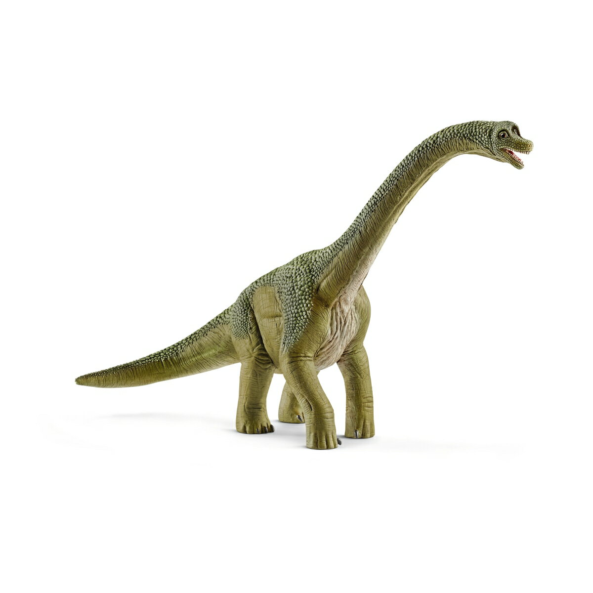 14581　ブラキオサウルス　　DINOSAURS/恐竜