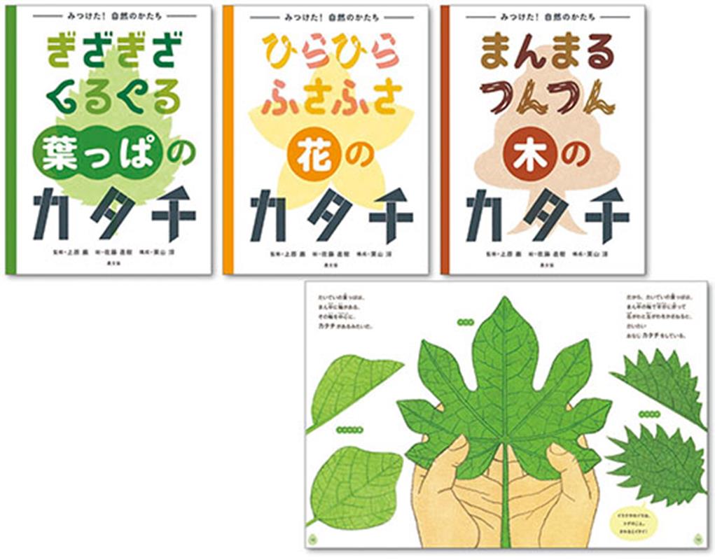 �ߤĤ����������Τ���������3�����åȡ�