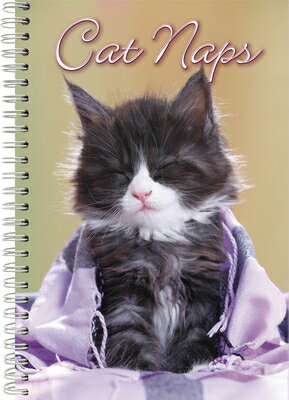 2021 Cat Naps 17-Month Weekly Planner 2021 CAT NAPS 17-MONTH WEEKLY Inc Sellers Publishing