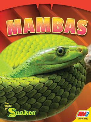 Mambas MAMBAS （The World of Snakes） 