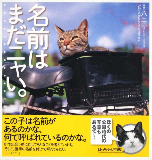 名前はまだニャい。