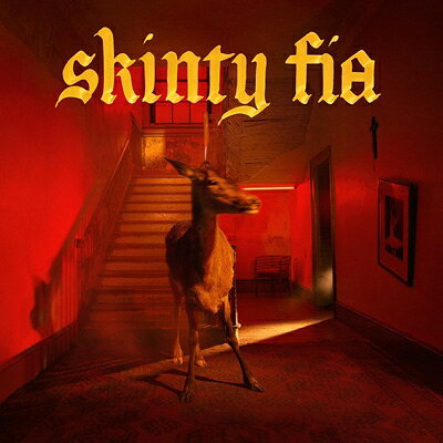 【輸入盤】Skinty Fia [ Fontaines D.C. ]