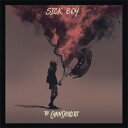 【輸入盤】Sick Boy The Chainsmokers