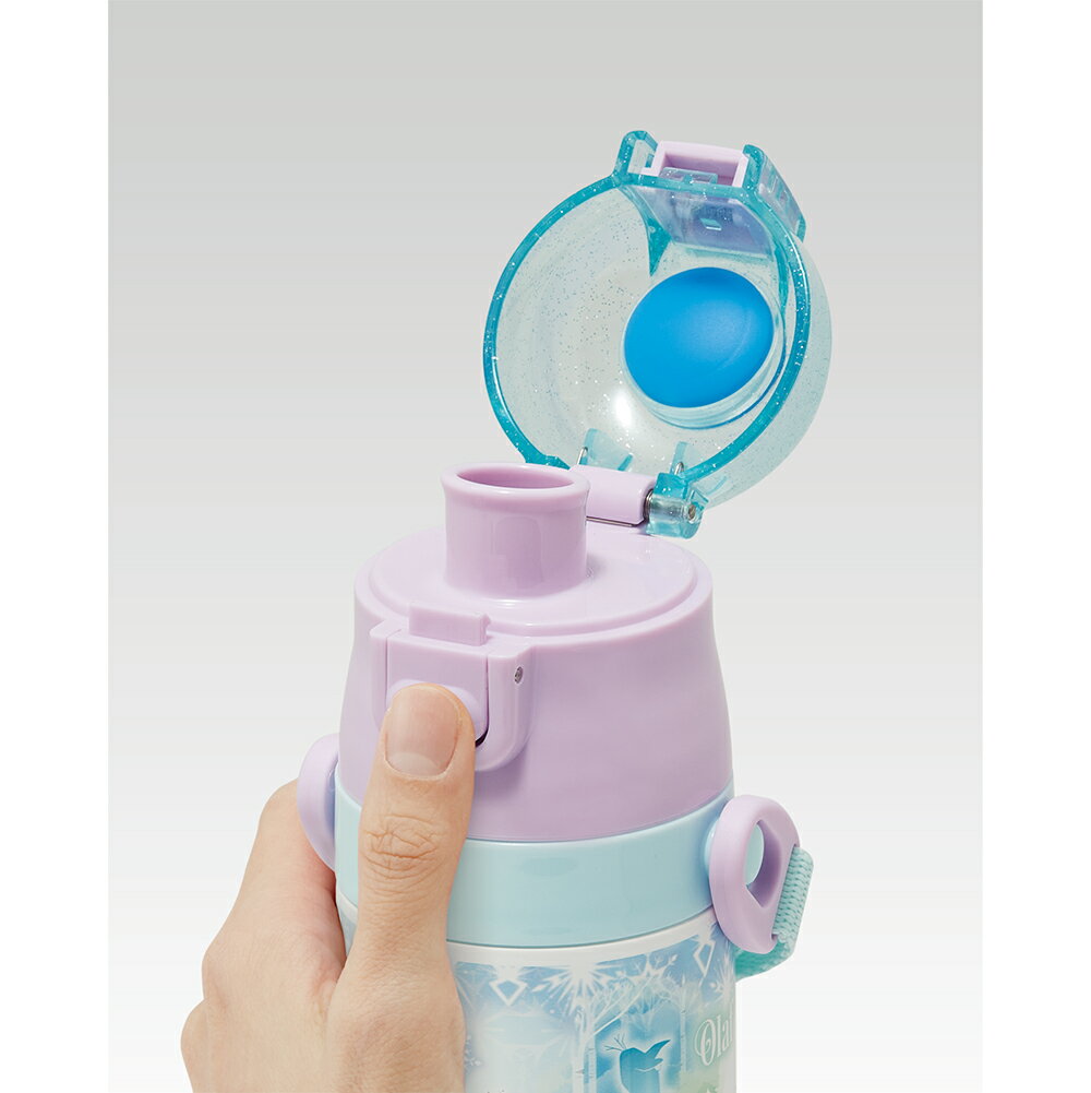 ディズニー アナと雪の女王 2026　水筒 子供 真空ステンレス 保冷 2WAY ボトル 直飲み 470ml コップ 430ml