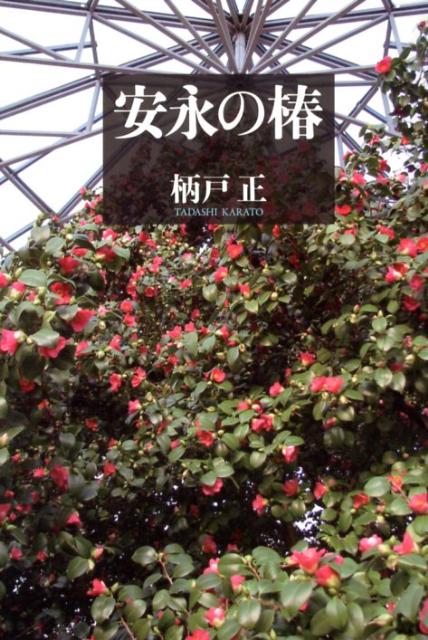 安永の椿
