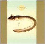 【輸入盤】電気ウナギ