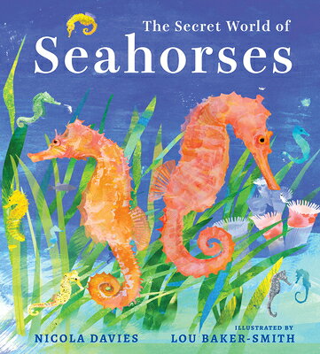 The Secret World of Seahorses SECRET WORLD OF SEAHORSES 