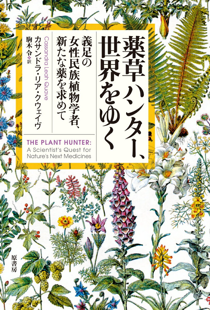 薬草ハンター、世界をゆく 義足の女性民族植物学者、新たな薬を求めて [ カサンドラ・リア・クウェイヴ ]