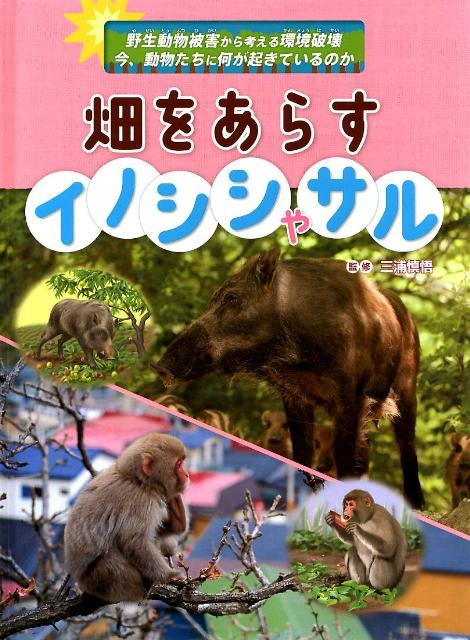 畑をあらすイノシシやサル