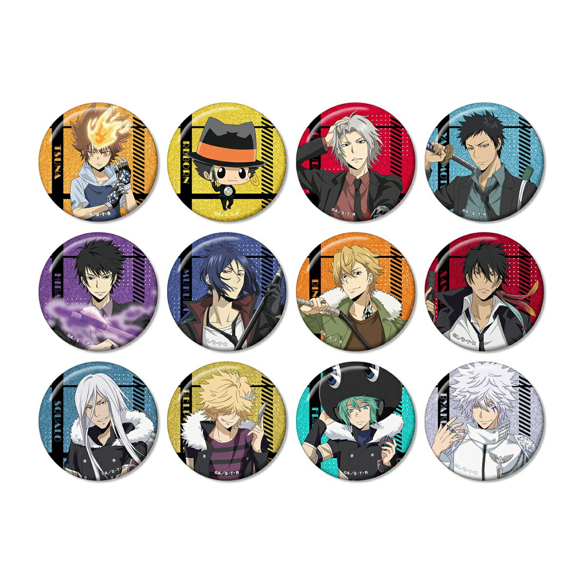 TVアニメ『家庭教師ヒットマンREBORN!』描き下ろし 戦闘前ver. トレーディンググリッター缶バッジ(BOX＝12入)