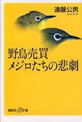 野鳥売買メジロたちの悲劇