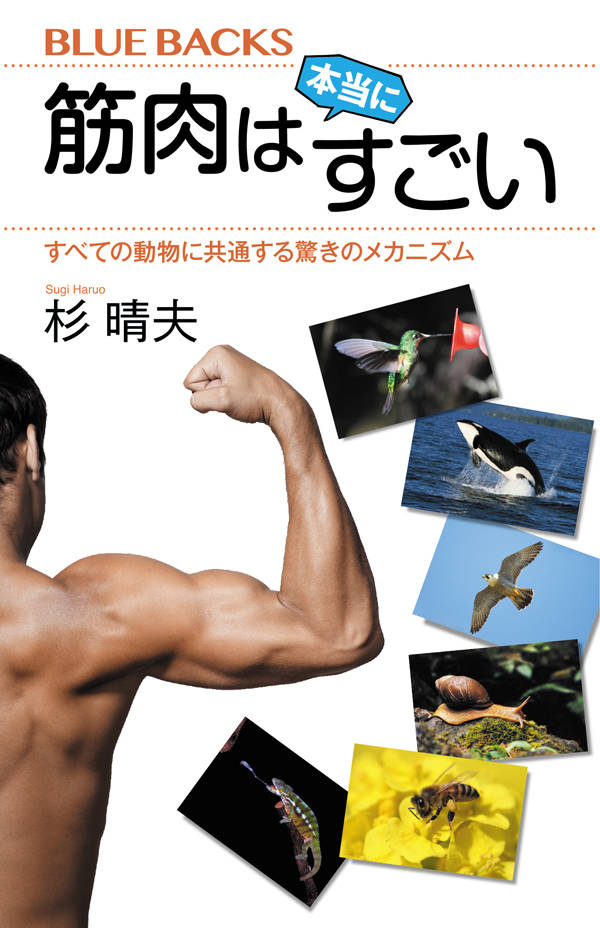 筋肉は本当にすごい　すべての動物に共通する驚きのメカニズム