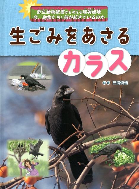 生ごみをあさるカラス