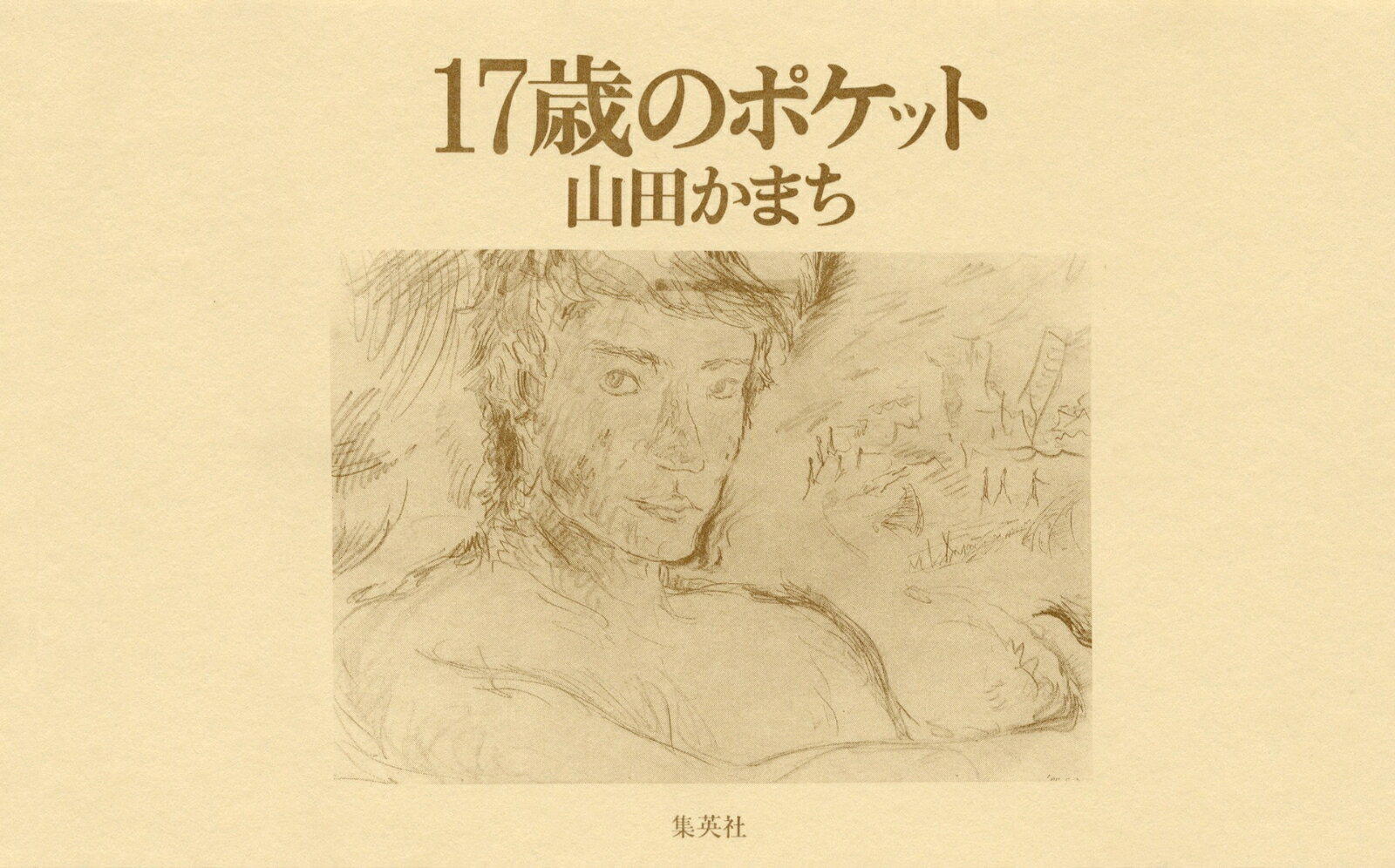 17歳のポケット