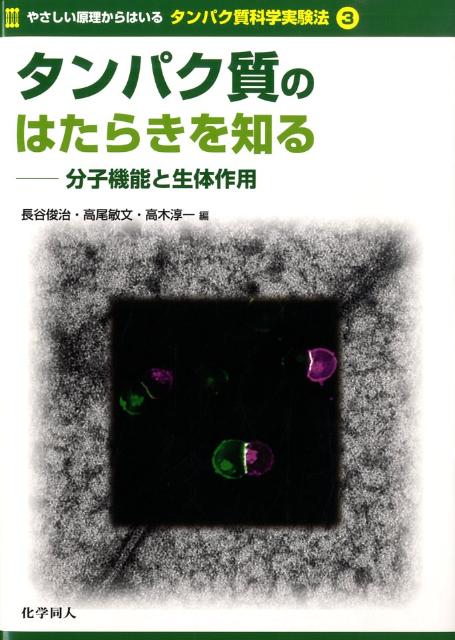 やさしい原理からはいるタンパク質科学実験法（3） タンパク質のはたらきを知る [ 長谷俊治 ]