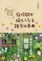 一番身近な植物「雑草」とメリハリつけて付き合う方法。怖い強敵？それともよき隣人？１３０種＋αの素顔に迫る。