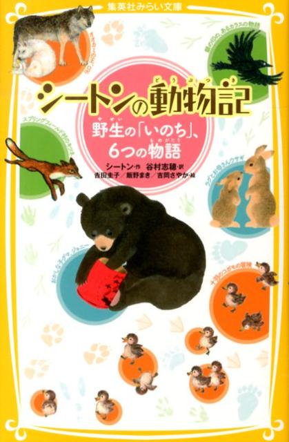 シートンさんは、たくさんの野生動物を観察し、多くの物語を書きました。この本ではその中から、６つのお話を紹介します。「ラグとお母さんウサギ」「おかしな子グマ、ジョニー」「十羽のコガモの冒険」「オオカミの王、ロボ」「スプリングフィールド村のキツネ」「銀の印の、あるカラスの物語」…いきいきとした文章でまとめられた訳で、シートンさんの世界への入門にふさわしい一冊です！小学中級から。