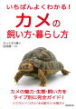 リクガメ／ハコガメ／半水棲ガメ／水棲ガメ。カメの魅力・生態・飼い方をタイプ別に完全ガイド！