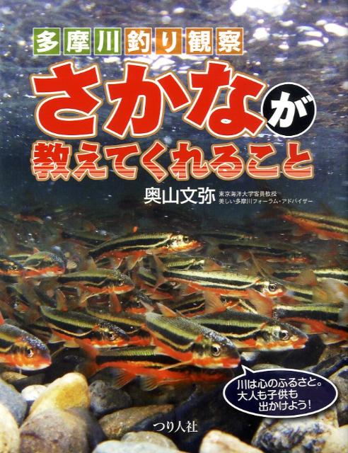 多摩川釣り観察さかなが教えてくれること
