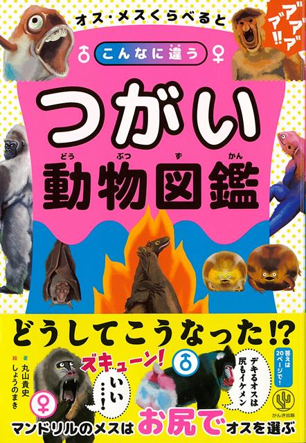 【バーゲン本】オス・メスくらべるとこんなに違う　つがい動物図鑑 [ 丸山　貴史 ]のサムネイル