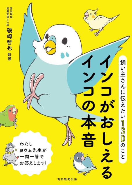 “インコ”ってなんだろう？幸せなインコライフのヒントは、インコを知ることにあり！