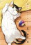 猫暮らしのゲーマーさん（4）