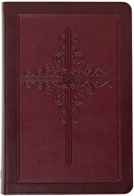 PASSION TRANSLATION NT (2020 E Brian Simmons BROADSTREET PUB2026 Imitation　Leather English ISBN：9781424571666 洋書 NonーClassifiable（その他）