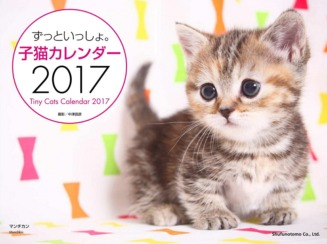 ���äȤ��ä��硣��ǭ��������2017