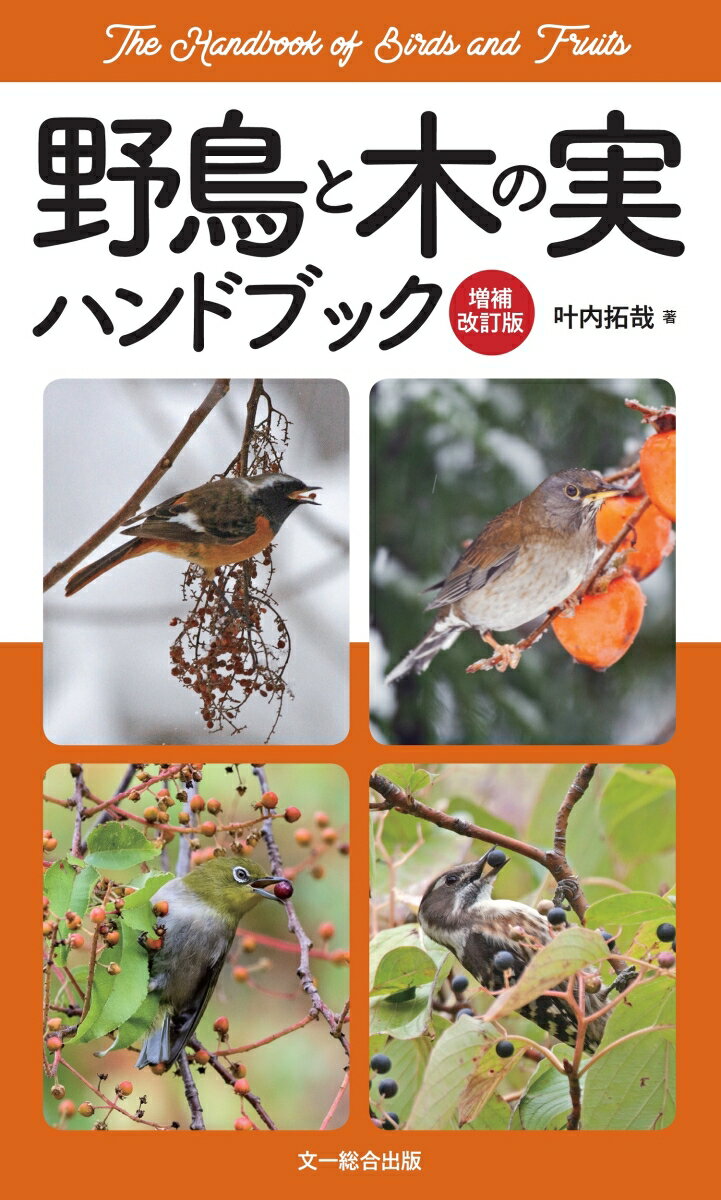 野鳥と木の実ハンドブック　増補改訂版 [ 叶内拓哉 ]