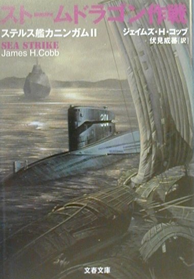 ストームドラゴン作戦