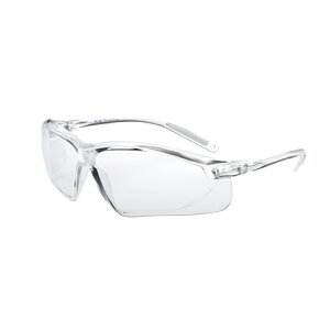 EYE CARE GLASS PREMIUM （保護メガネ） EC-01S Premium