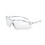 EYE CARE GLASS PREMIUM （保護メガネ） EC-01S Premium