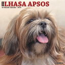 Just Lhasa Apsos 2019 Wall Calendar (Dog Breed Calendar) 2019 JUST LHASA APSOS WALL CAL Willow Creek Press