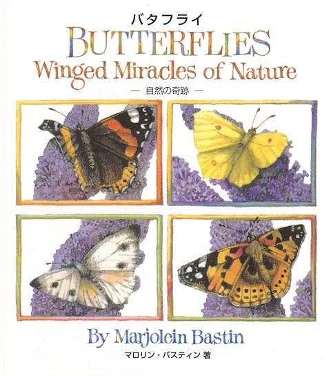 【バーゲン本】バタフライー自然の奇跡