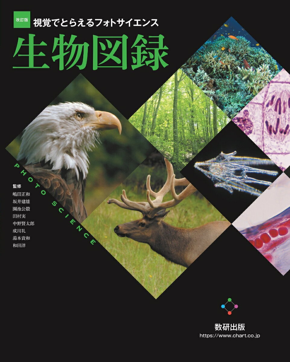 ヒト、イヌと語る コーディーとKの物語[本/雑誌] / 菊水健史/著 永澤美保/著