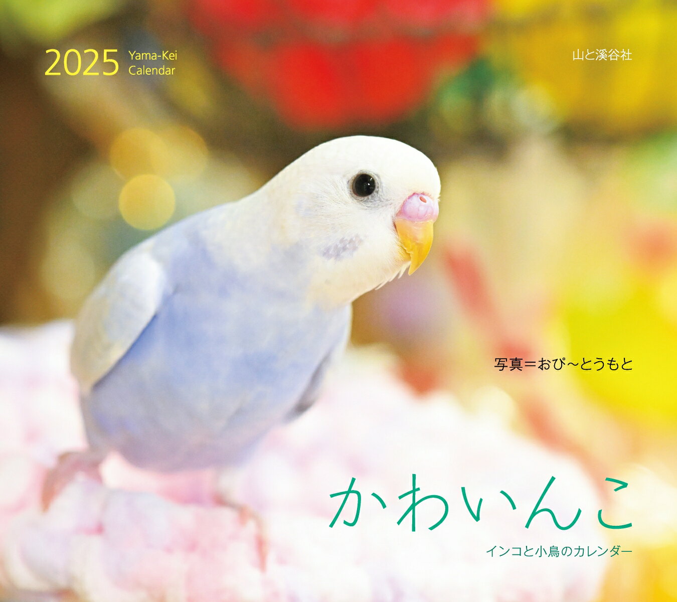 かわいんこ インコと小鳥のカレンダー(2025)