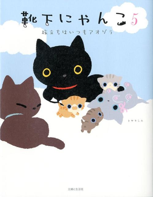 靴下にゃんこ（5）