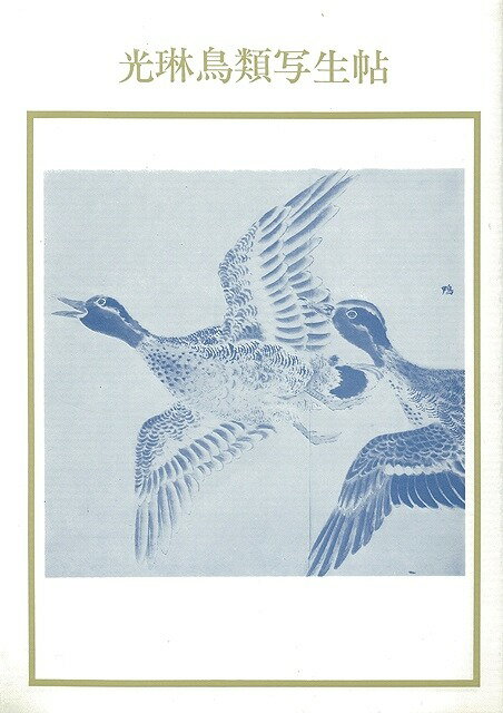 【バーゲン本】光琳鳥類写生帖