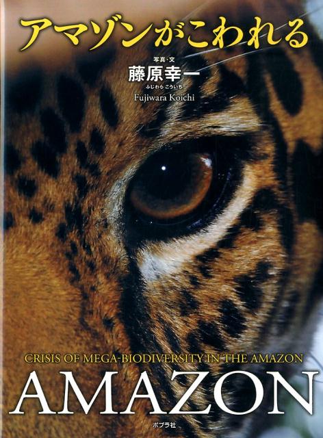 アマゾンがこわれる