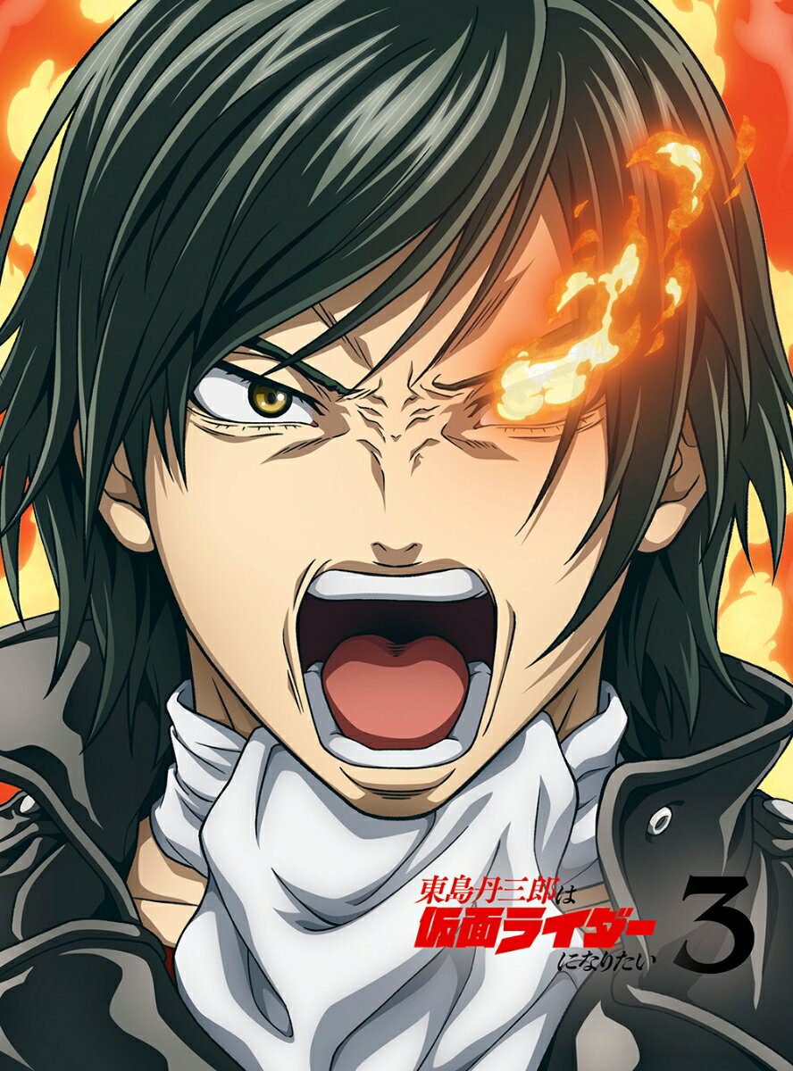 東島丹三郎は仮面ライダーになりたい 第3巻(完全生産限定版)【Blu-ray】