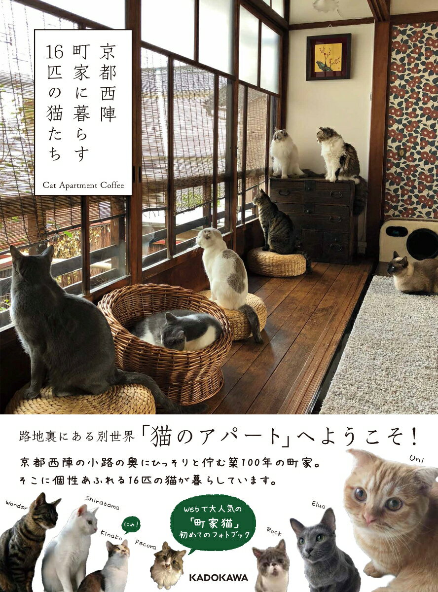 路地裏にある別世界「猫のアパート」へようこそ！京都西陣の小路の奥にひっそりと佇む築１００年の町家。そこに個性あふれる１６匹の猫が暮らしています。Ｗｅｂで大人気の「町家猫」初めてのフォトブック。