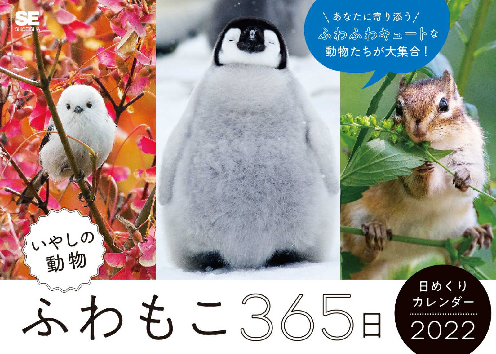 ふわもこ365日 いやしの動物日めくりカレンダー 2022