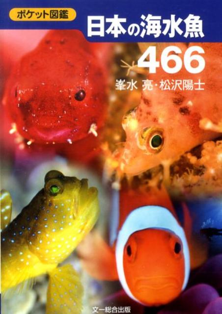 日本の海水魚466