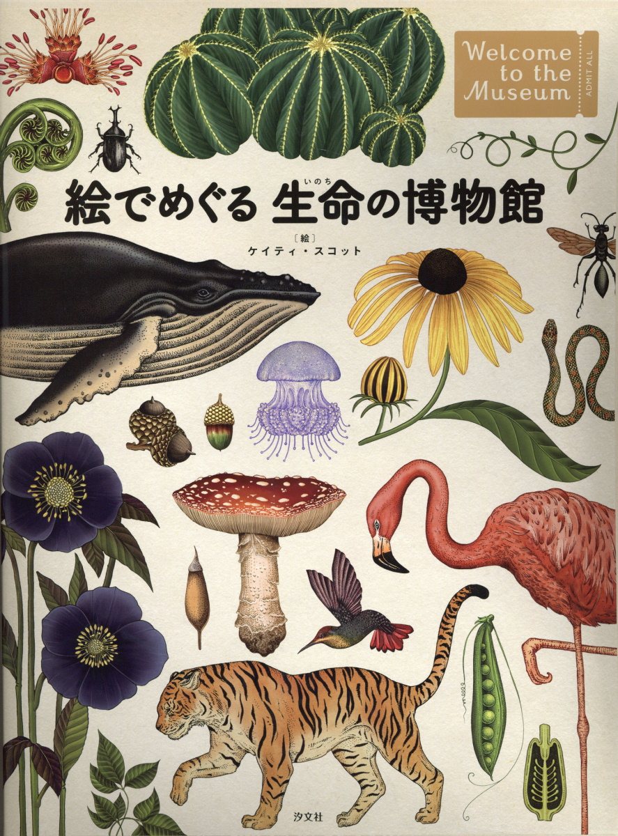絵でめぐる生命の博物館（全2巻セット）