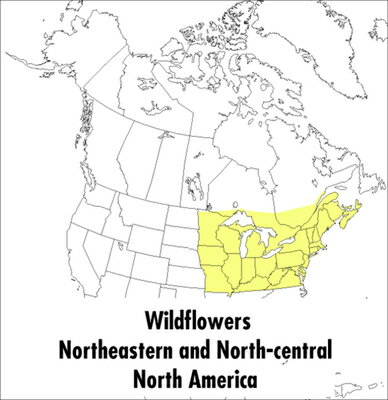 Grouped by color and by plant characteristics, 1,293 species in 84 families are described and illustrated. Included here are all the flowers you're most likely to encounter in the eastern and north-central U.S., westward to the Dakotas and southward to North Carolina and Arkansas, as well as the adjacent parts of Canada.